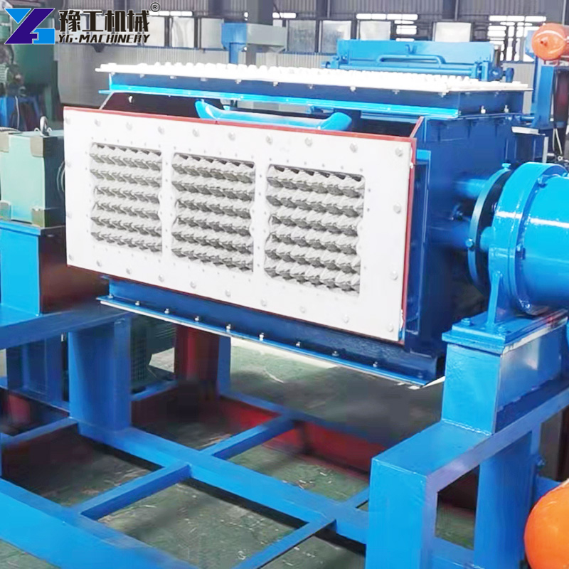 egg carton machine in factory