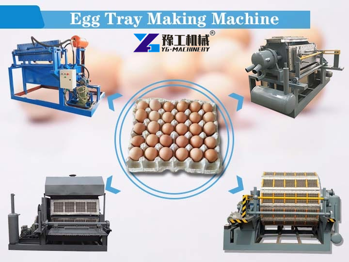 egg tray molding machine view
