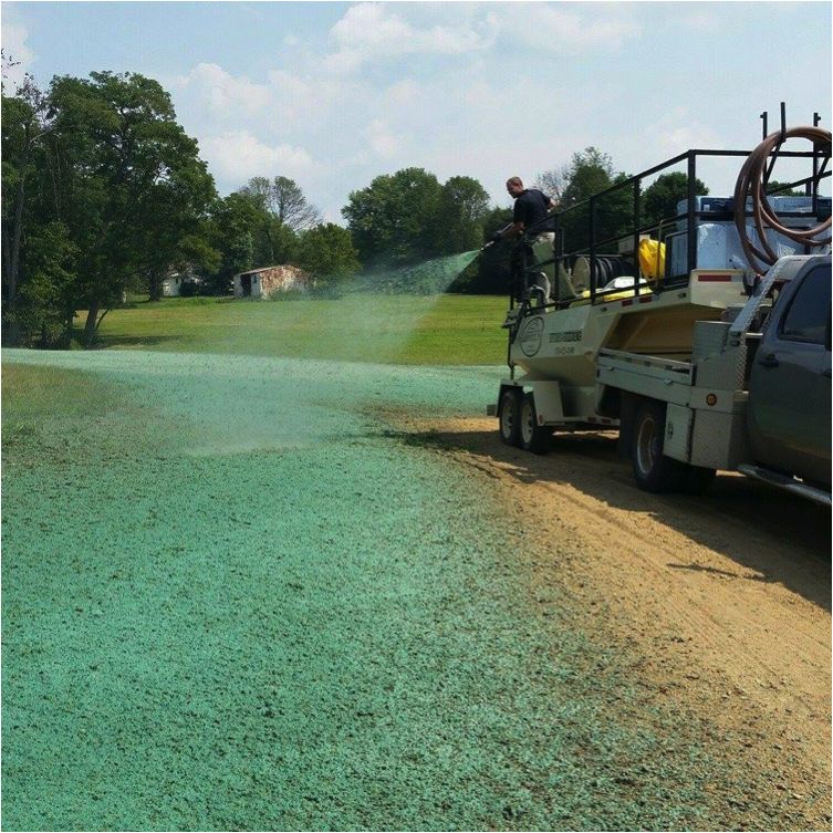green vegetation after hydroseeding